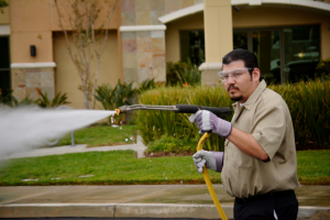 professional worker power washing asphalt