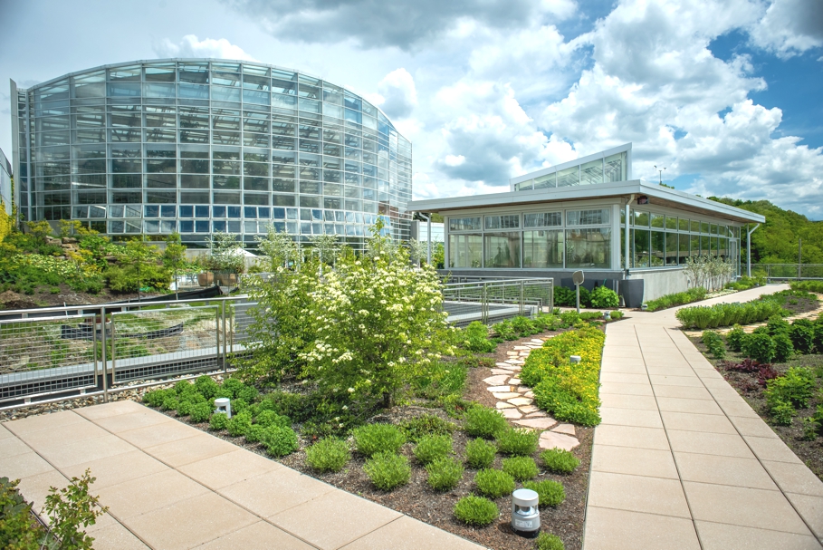 clean modern office building with minimalistic drought resistant landscaping