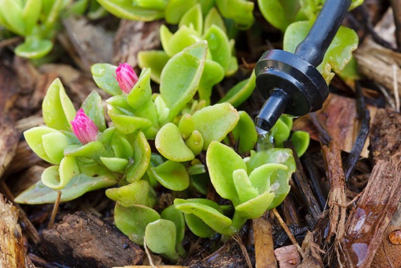 smart irrigation systems Smart irrigation systems