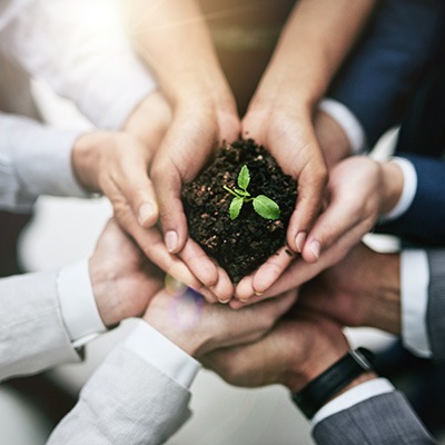 Team members' hands holding a small plant in soil