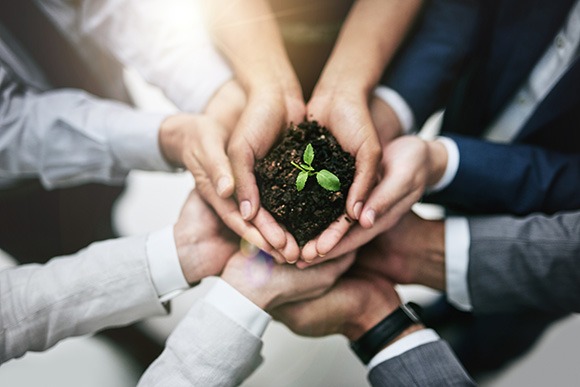 Team members' hands holding a small plant in soil