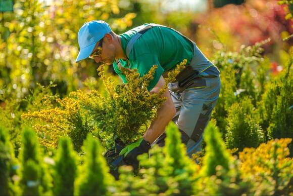 Landscaping Professional Tending to Fields