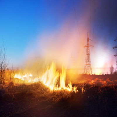 Dry Grass on Fire