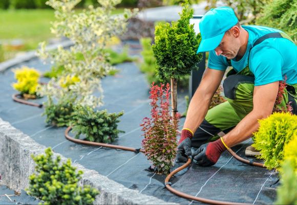 Landscaper Setting Up Irrigation Professional Cleaner Wiping Down Glass