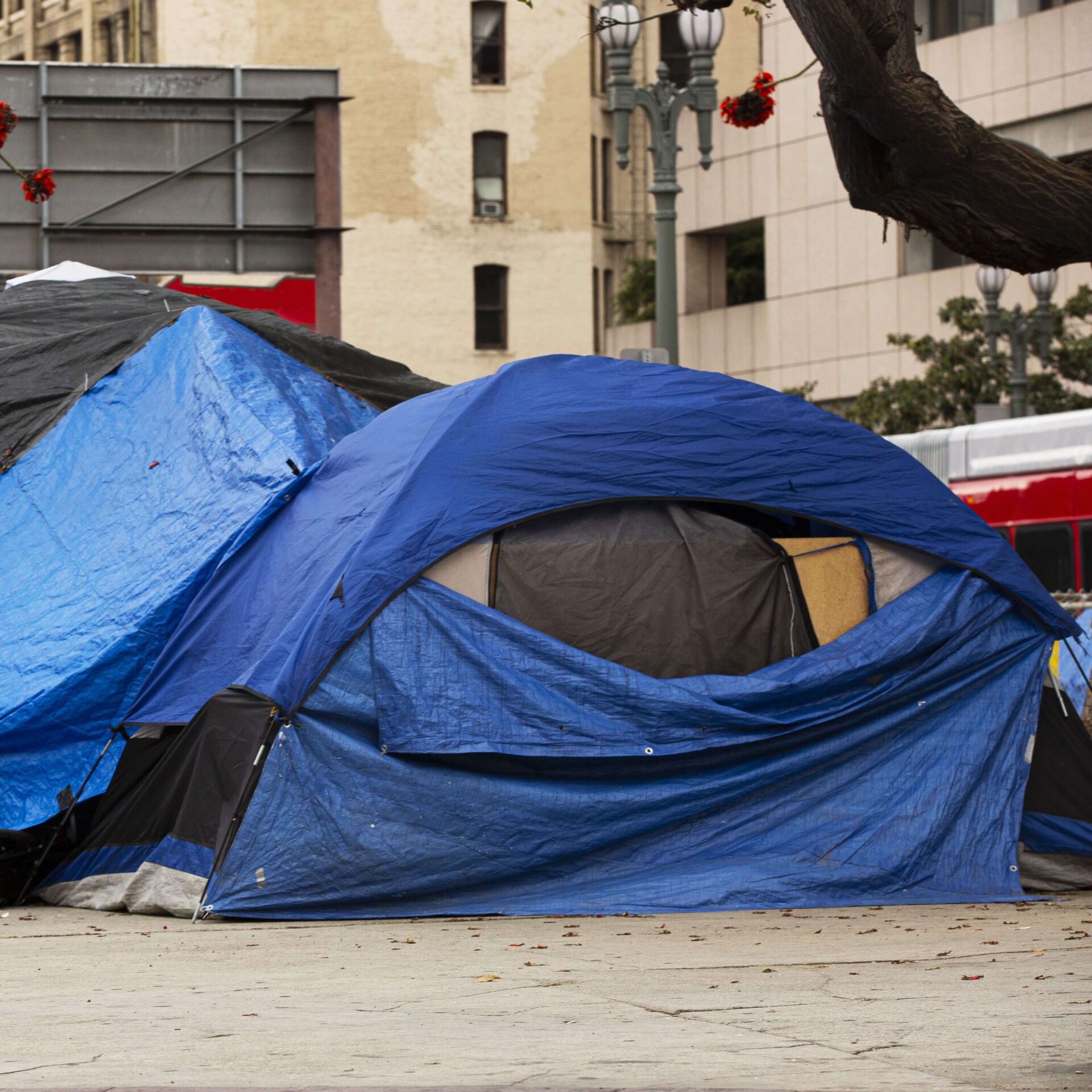 Southern California Homeless Encampment