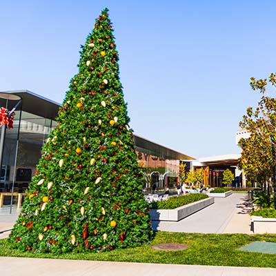 Prepare Your Property for the Holidays with CAM Property Services