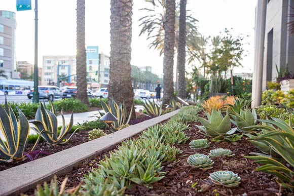 Irrigation System Efficiency