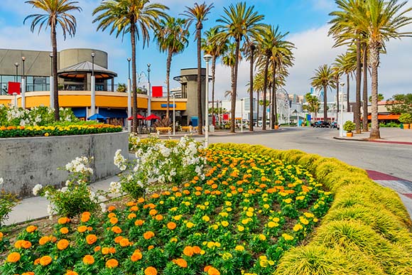 Landscape and Erosion Protection Landscape and Erosion Protection